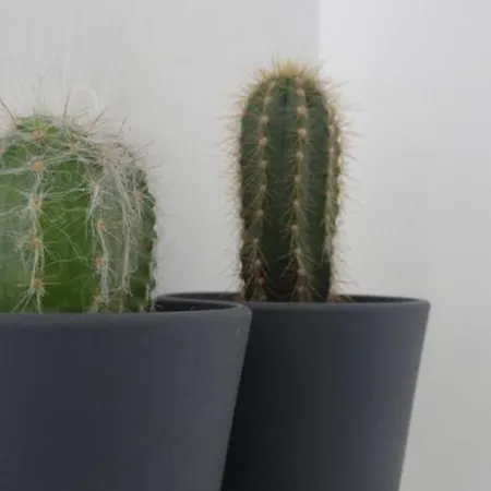 Apartamento Meuble